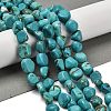 Natural Turquoise Beads Strands G-P497-01E-91-2