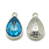 Alloy Glass Charms PALLOY-T028-7x10mm-12-2