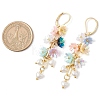 Resin & ABS Imitation Pearl Leverback Earrings EJEW-JE06264-3
