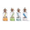 Glass Wishing Bottle Pendant Decorations X-GLAA-S181-02-1