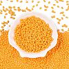 Baking Paint Glass Seed Beads SEED-T006-03N-1