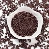 Baking Paint Glass Seed Beads X1-SEED-A033-05F-2