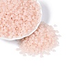 Transparent Glass Seed Beads SEED-Q041-01D-2