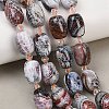 Natural Fire Crackle Agate Beads Strands G-K393-G04-12x16-1