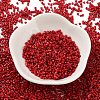 Baking Paint Glass Seed Beads SEED-S042-05B-89-2