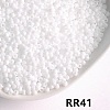 Opaque 11/0 Glass Seed Beads SEED-I013-2mm-RR41-1