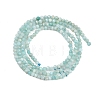 Natural Amazonite Bead Strands X-G-P279-42-2mm-01-4