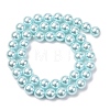 Electroplated Shell Pearl Beads Strands BSHE-G041-8mm-03-2