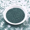 MIYUKI Round Rocailles Beads X-SEED-G007-RR1933-2