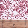 MIYUKI Delica Beads SEED-J020-DB0282-4