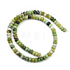 Natural Serpentine Beads Strands G-L647-D09-4x6mm-3