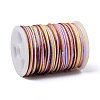 Segment Dyed Polyester Thread NWIR-I013-A-12-2