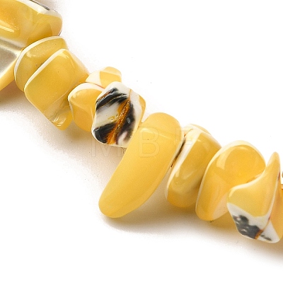 Natural Trochid Shell/Trochus Shell Beads Strands SHEL-B003-02H-1