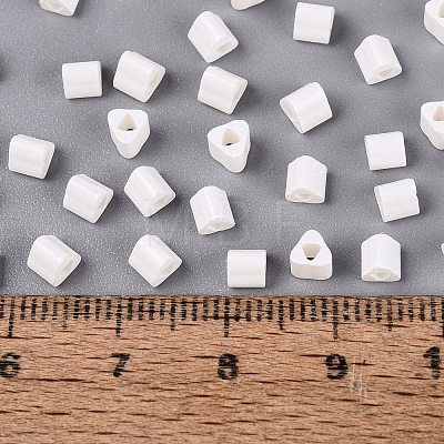 FGB Baking Paint Glass Seed Beads SEED-Q040-09A-01-1