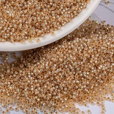 MIYUKI Round Rocailles Beads X-SEED-G009-RR0580-1