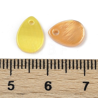 Spray Painted Natural Freshwater Shell Teardrop Charms SHEL-K006-47-1