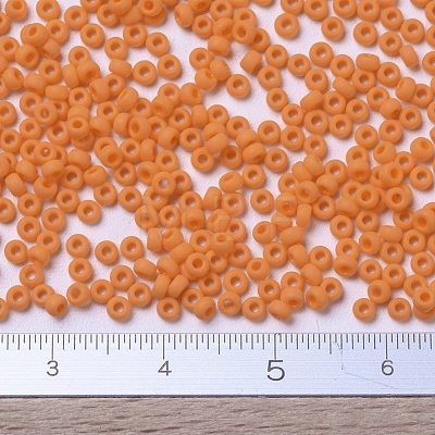 MIYUKI Round Rocailles Beads X-SEED-G007-RR0405F-1