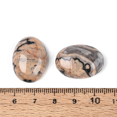 Natural Map Stone Cabochons G-T144-76A-1