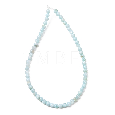 Dyed Natural Freshwater Shell Beads Strands SH-CBA2978-07A-01-1