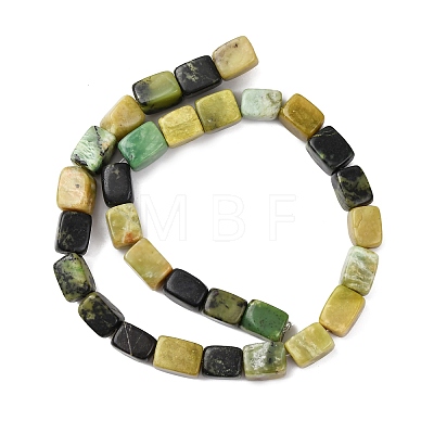 Natural Serpentine Beads Strands G-D098-D06-1