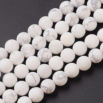 Natural Howlite Beads Strands G-G770-06-1