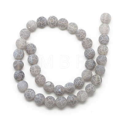 Natural Weathered Agate Bead Strands G-S237-6mm-08-1