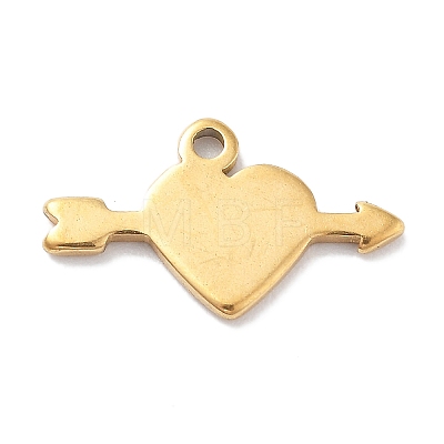 304 Stainless Steel Charms STAS-R003-01G-01-1