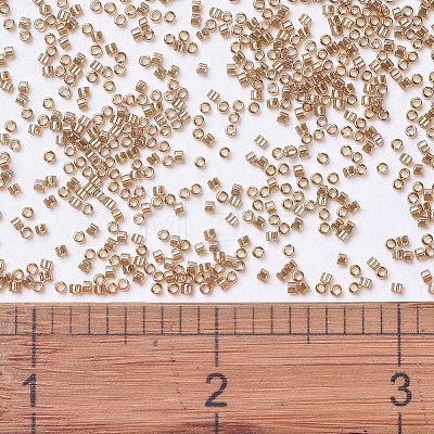 MIYUKI Delica Beads SEED-X0054-DB1221-1