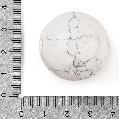 Natural Howlite Sphere Beads G-I367-05D-1