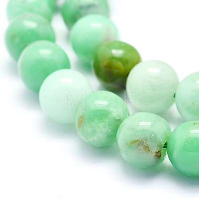 Natural Chrysoprase Beads Strands G-O166-03-10mm-1