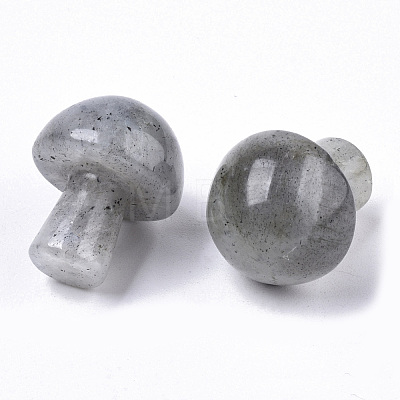 Natural Labradorite GuaSha Stone G-N0325-02P-1