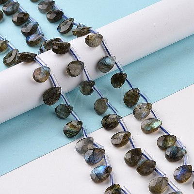 Natural Labradorite Beads Strands G-I246-09-A-1