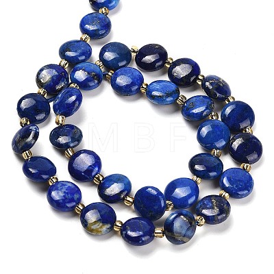 Natural Lapis Lazuli Beads Strands G-H005-B09-01-1