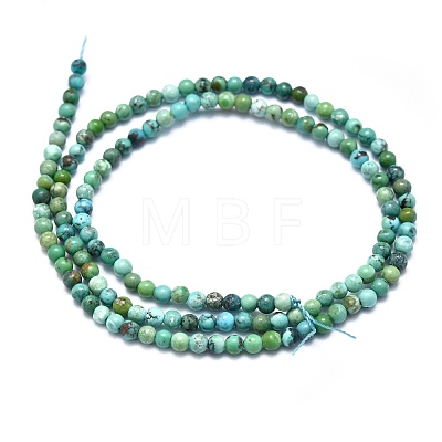 Natural Turquoise Beads Strands G-K305-01-A-1
