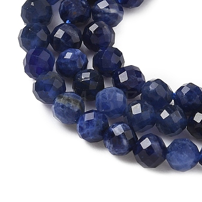 Natural Sodalite Beads Strands X-G-L622-C04-3mm-1