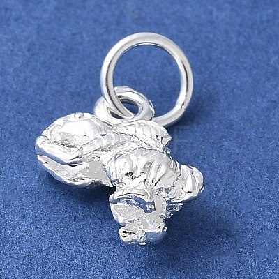 925 Sterling Silver 3D Chinese Zodiac Charms STER-P066-01S-04-1