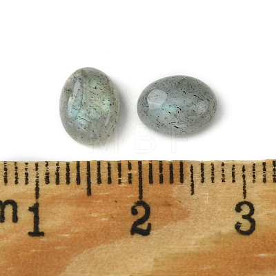 Natural Labradorite Cabochons X-G-A094-01B-11-1