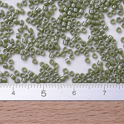 MIYUKI Delica Beads SEED-J020-DB0263-1