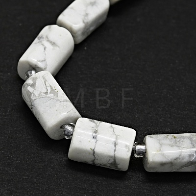 Natural Howlite Beads Strands G-O170-150-1