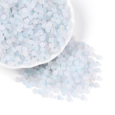 Frosted Glass Seed Beads SEED-N012-01B-1