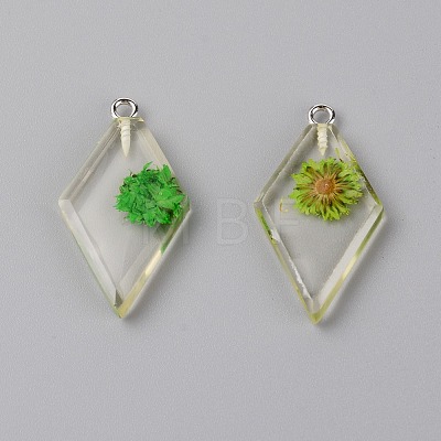 Transparent Clear Resin Pendants RESI-TAC0007-06C-1