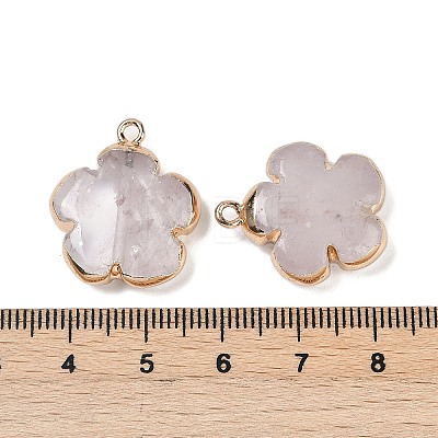 Natural Quartz Crystal Pendants G-P566-01G-06-1