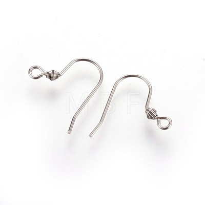 304 Stainless Steel Earring Hooks STAS-R063-67-1