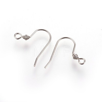 Tarnish Resistant 304 Stainless Steel Earring Hooks STAS-R063-67-1