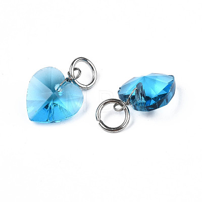 Faceted Transparent Glass Charms GLAA-T024-04E-1