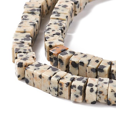 Natural Dalmatian Jasper Beads Strands G-K326-02-1