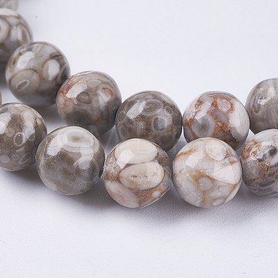 Natural Maifanite/Maifan Stone Beads Strands G-I187-10mm-01-1
