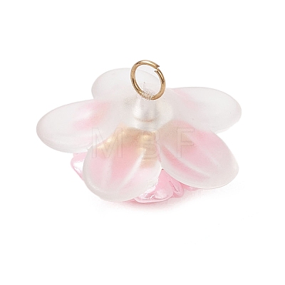Frosted Acrylic Bead Caps Pendants PALLOY-MZ01310-02-1