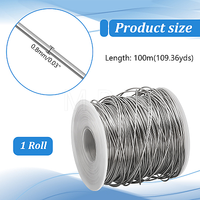 304 Stainless Steel Wires TWIR-WH0002-22C-1