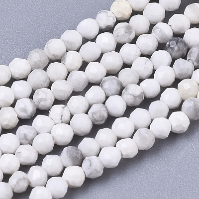 Natural Howlite Beads Strands G-R462-007-1